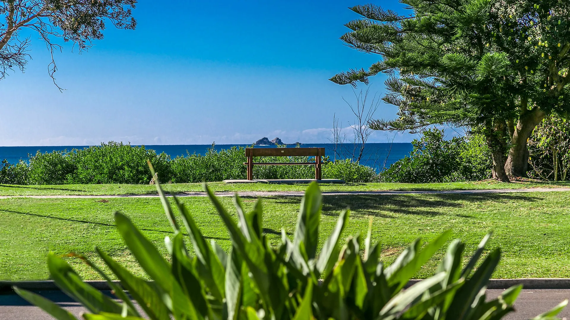 Apartment 1 Surfside Byron Bay